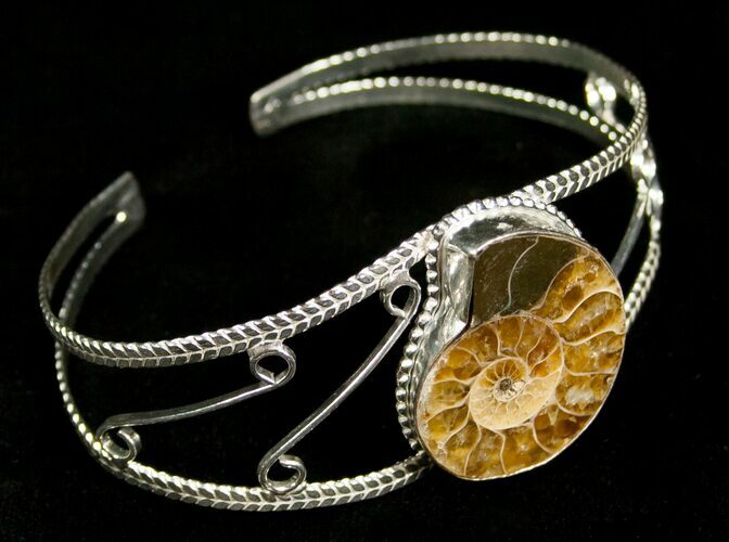 Beautiful Ammonite Fossil Bracelet #4506